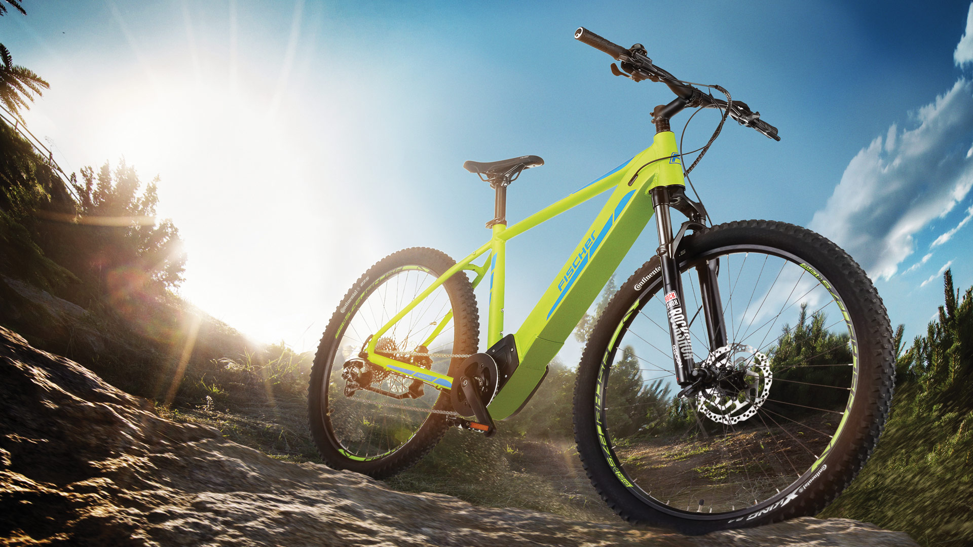 FISCHER E-Bike für Touren im Wald.